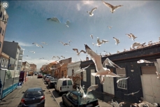 Девять глаз Google Street View
