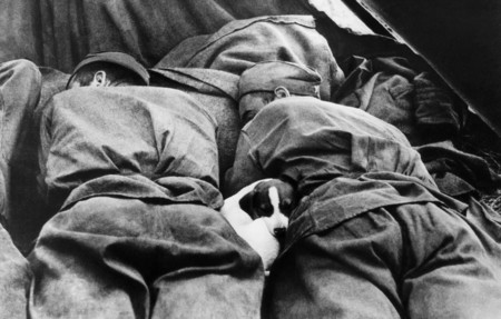 Александр Бродский
«Пусть солдаты немного поспят». Чехословакия 
1945 
Музей «Московский Дом фотографии»